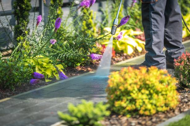 Best Animal Enclosure Cleaning  in Stormstown, PA